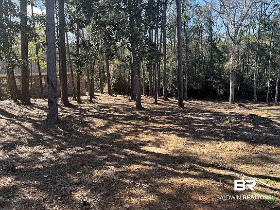 2nd image of 315 Springhill Woods Dr W