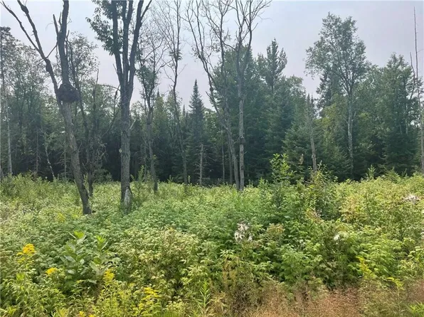 6+/- Acres On Old 13 Road, Butternut, WI 54514