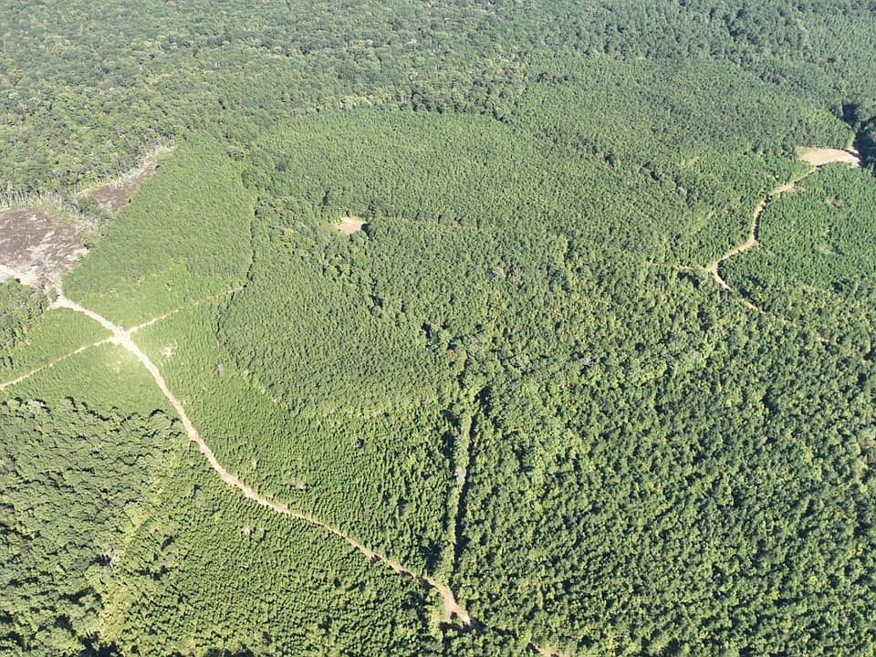 1st image of Beckham Rd