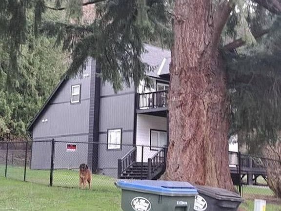 3rd image of 17902 Mulqueen Rd SE