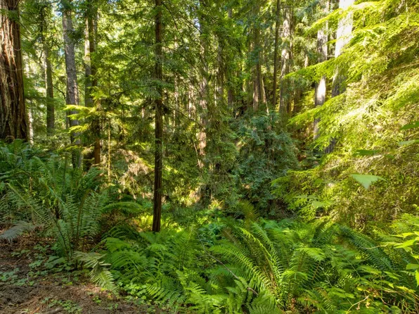 33170 Frog Pond Rd, Little River, CA 95456