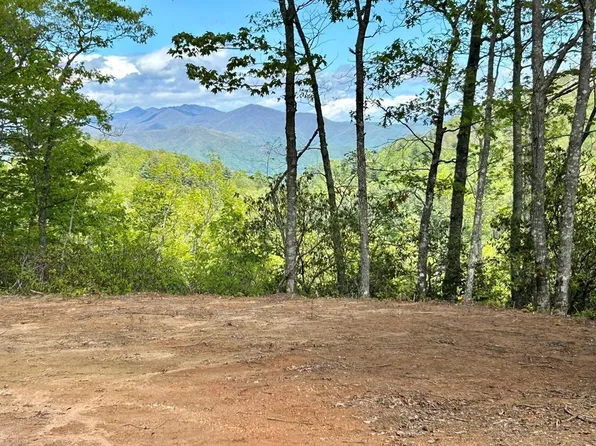 31 & 32 Middle Ridge Dr, Whittier, NC 28789