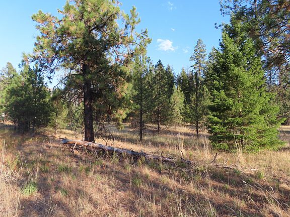 4th image of 111 Toroda Creek Rd