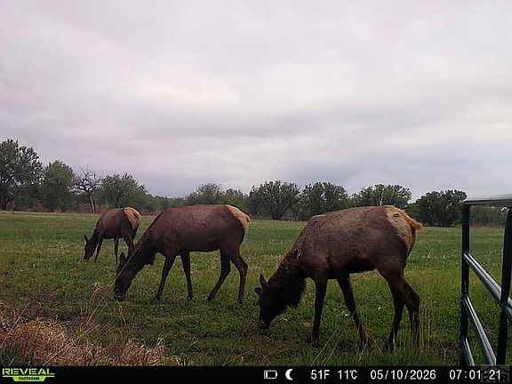 4th image of Tbd Daniel Rd