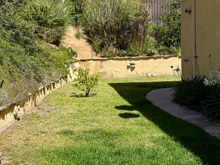 1922 Golden Sky Cir — Photo 35