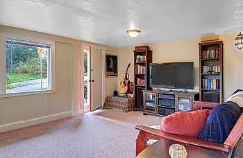 Lower Level Living Room