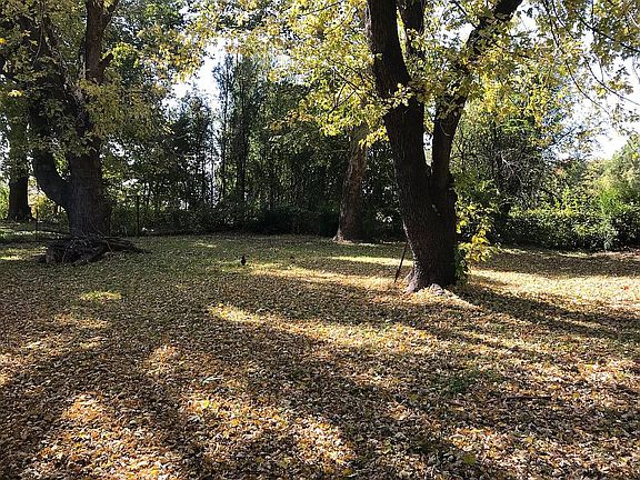 4th image of 515 Oakdale Dr