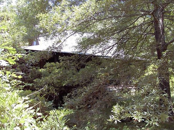 View through front oak tree