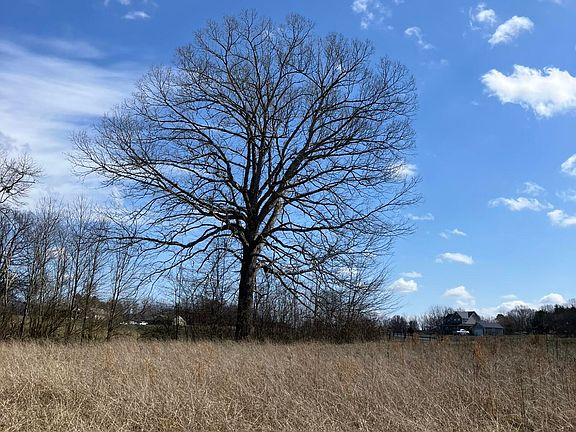 5th image of Old Grimsley Ct