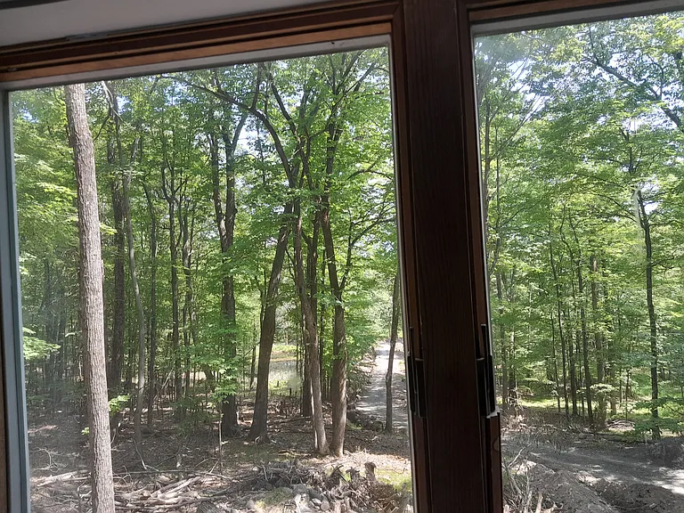 258 Black Rd #1 — Photo 7