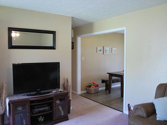 5th image of 517 Wildcat Ln