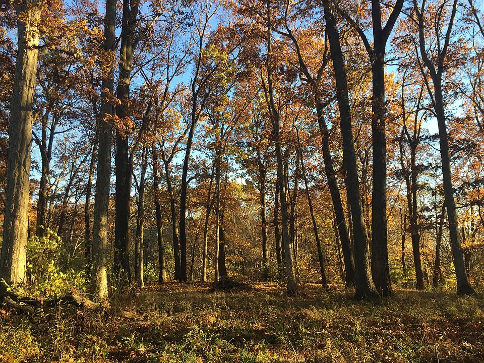 1st image of Lot 31 Stoney Creek Subdivision