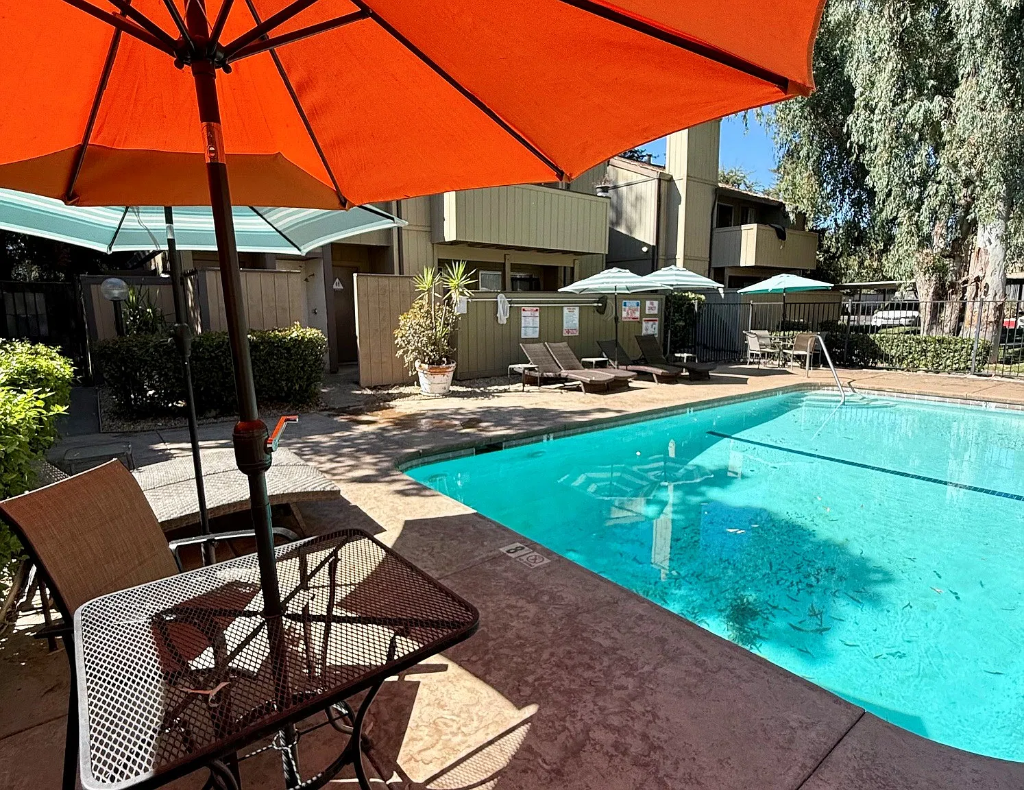 Sierra Woods Apartments — Photo 4
