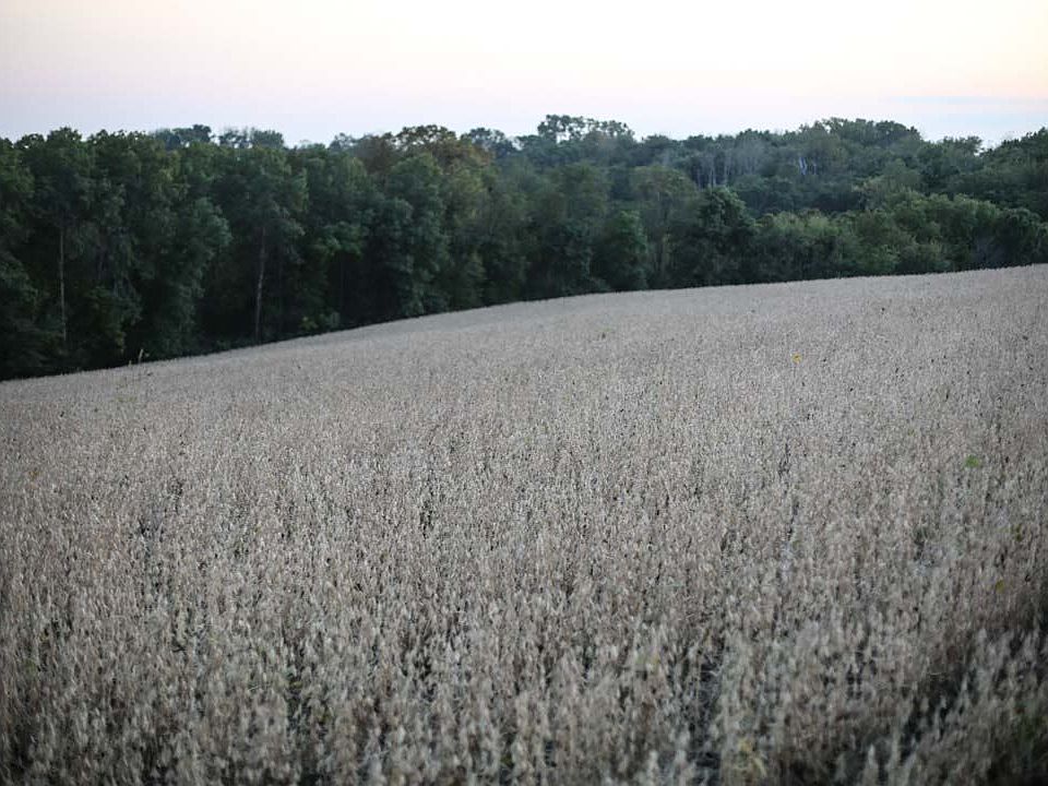 2nd image of N North Buck Crk