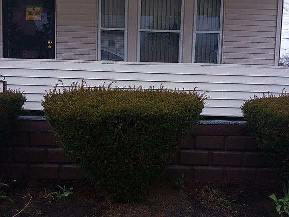 4th image of 11415 Matilda Ave