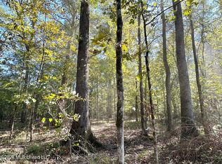 4 Evans Rd, Carthage, MS 39051
