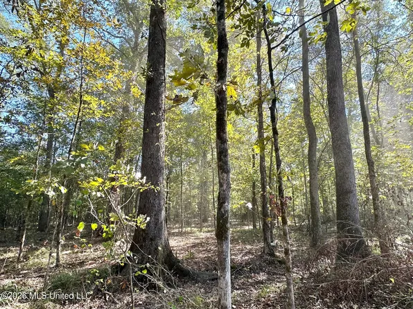 4 Evans Rd, Carthage, MS 39051