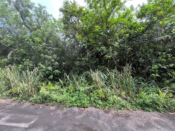 Kekuhaupio Rd Lot 5, Naalehu, HI 96772