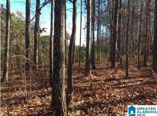 62 Haines Dr, Vincent, AL 35178
