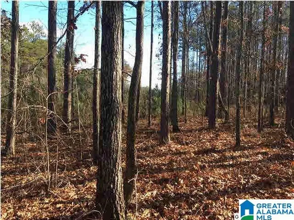 64 Haines Dr, Vincent, AL 35178