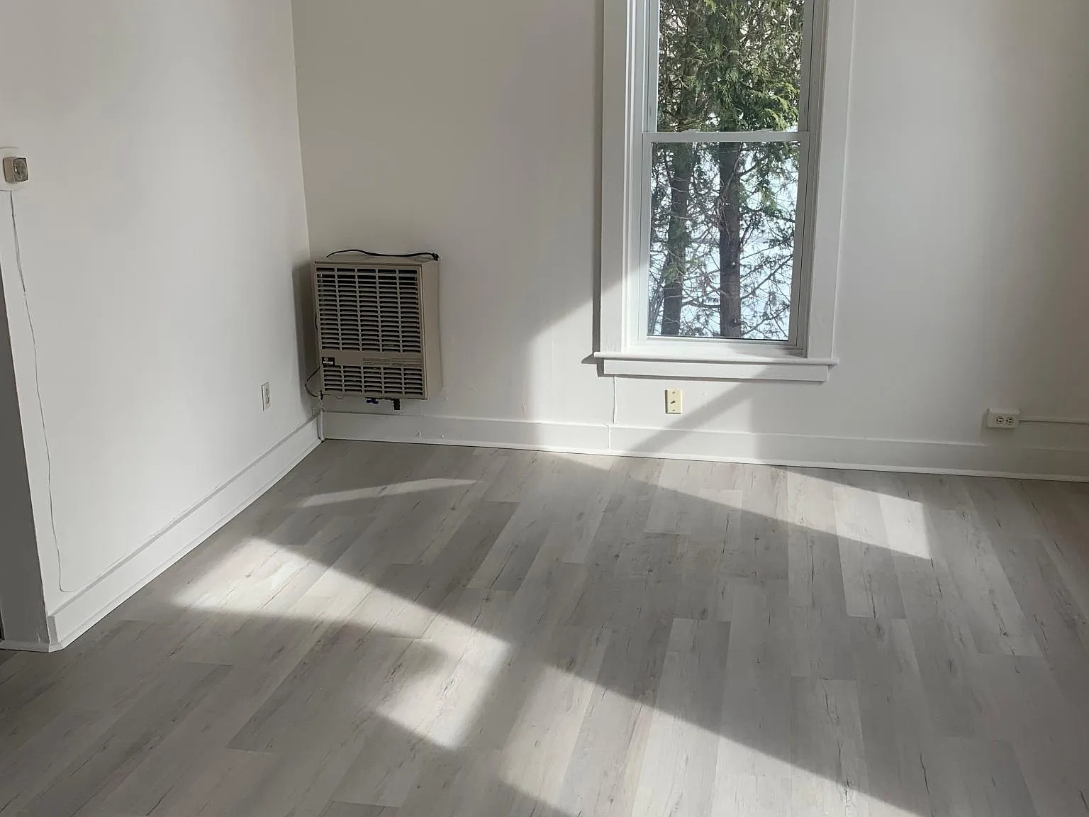1 bed, 625 sqft, $1,575 — Photo 3