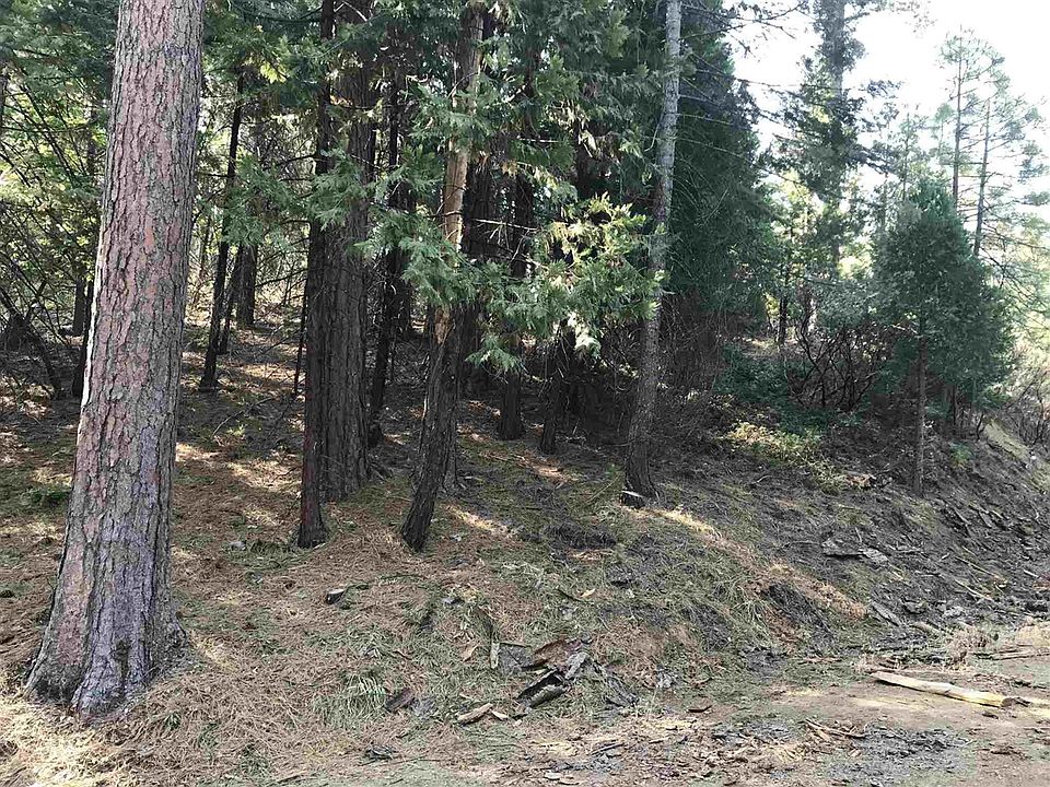 1st image of Par 2 Pm 1 74 Lot 236