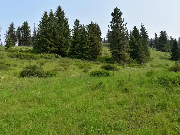 E Knob Hill Rd Lot 65, Republic, WA 99166