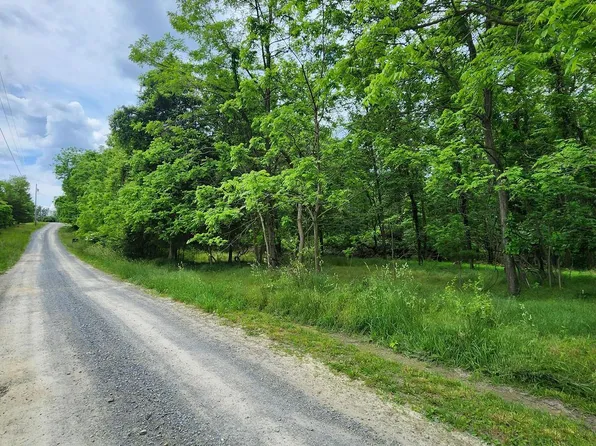 White Pine Ln, Capon Bridge, WV 26711
