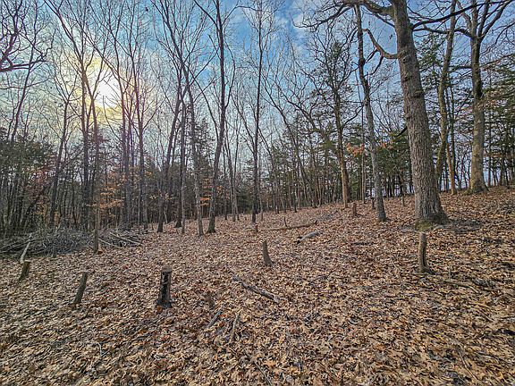2nd image of 24591 County Road 311