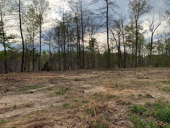 4th image of 170 Eagle Crest Dr
