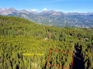 64 County Road 534, Breckenridge, CO 80424