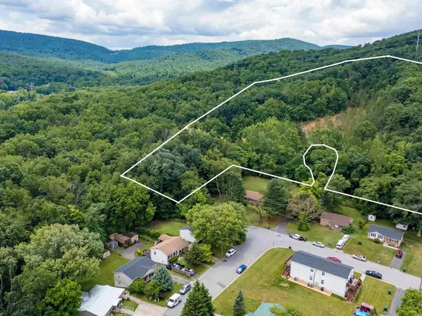 0 Gun St, Waynesboro, VA 22980