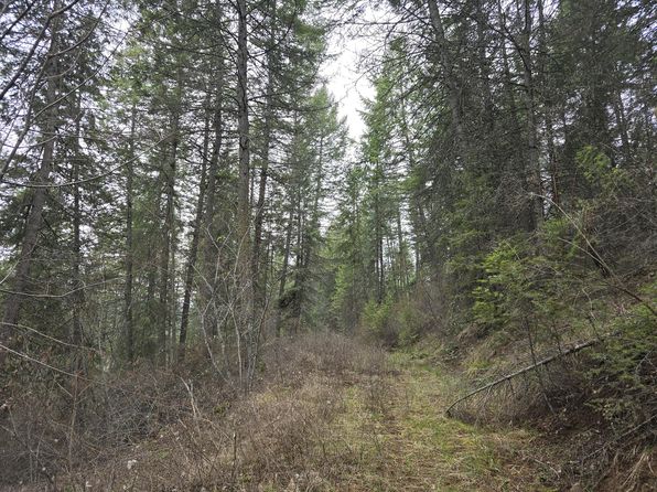 Vanesse Rd, Kettle Falls, WA 99141