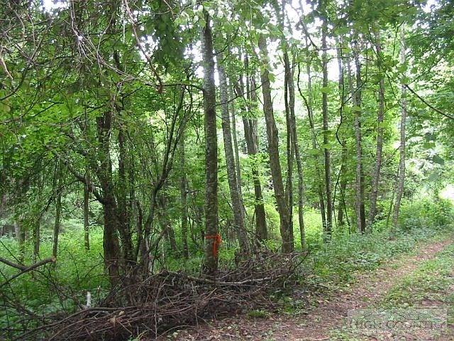 1st image of 5 Lots Beaver Creek