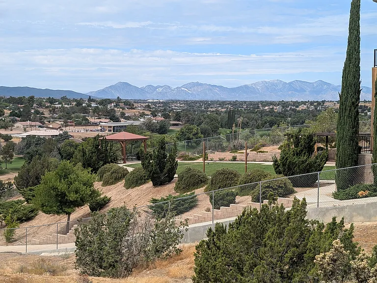 view from back of the house