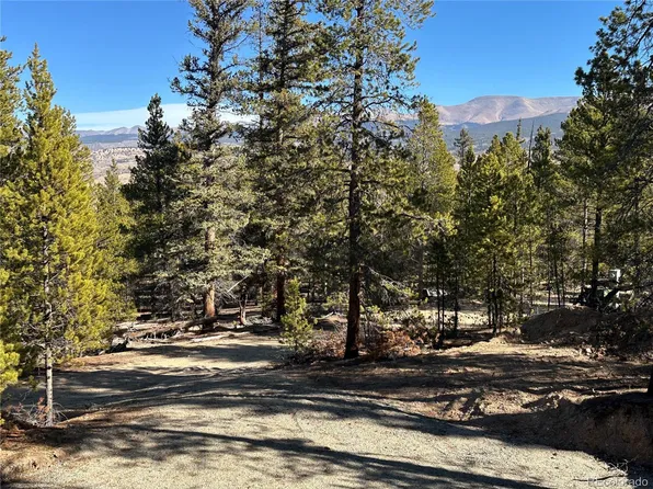 48 Lodgepole Drive, Leadville, CO 80461