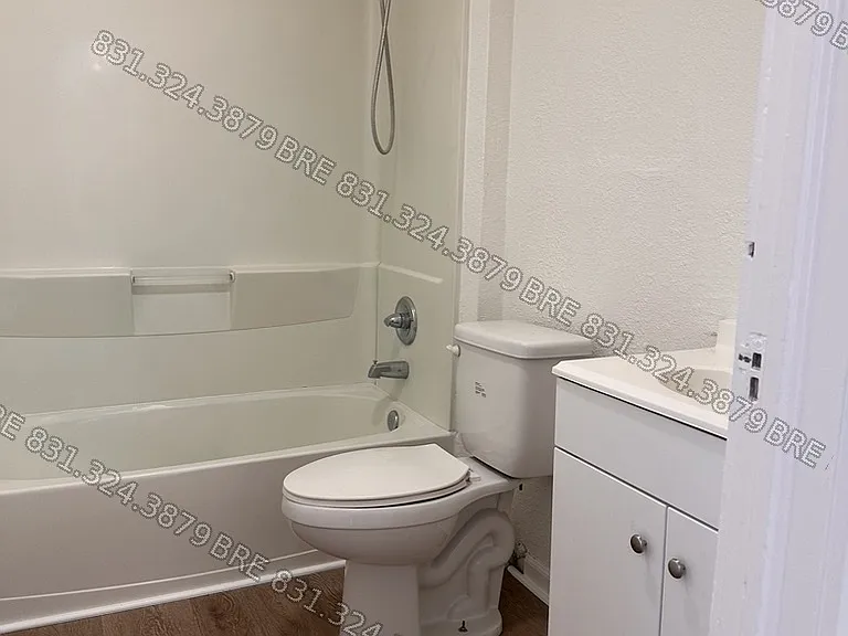343A Alexander St — Photo 7