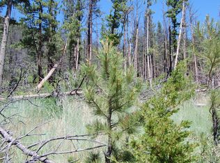 Allen Gulch Rd, Wolf Creek, MT 59648