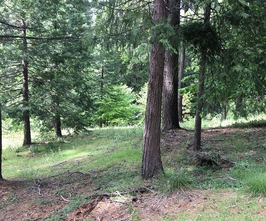 2nd image of 9581 Grizzly Flat Rd