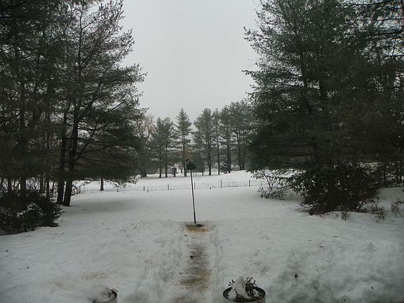 3rd image of 18 Murchison Pl