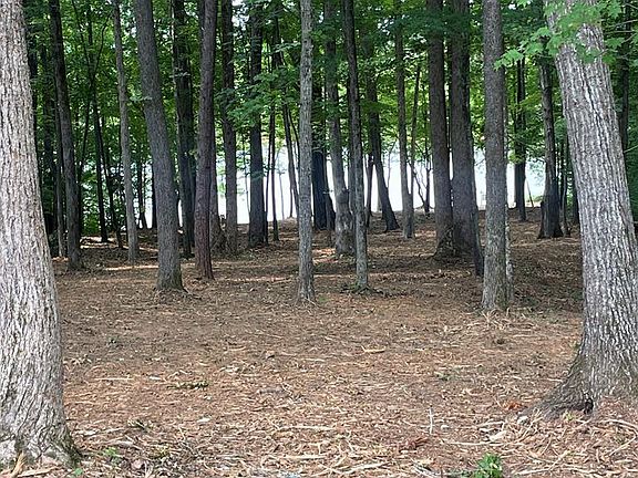3rd image of LOT 7 Highway Fifty Eight