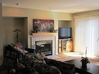 Another View of the Living Room with Fireplace