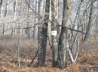 Cranberry Ridge Dr, Milford, PA 18337