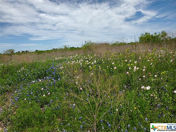 4th image of 2404 Bluebonnet Dr
