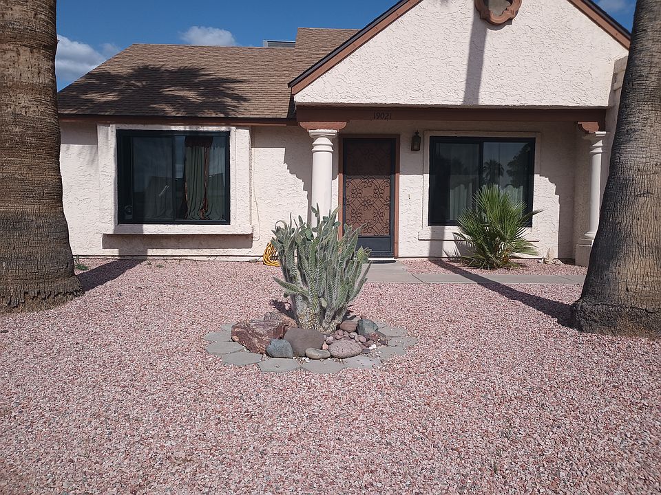 The front view. Landscape is 2 large palms and one cactus.