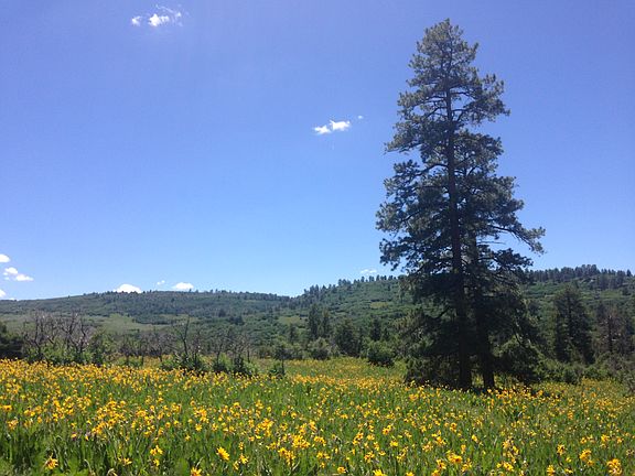 5th image of Tbd Green Meadows Lane
