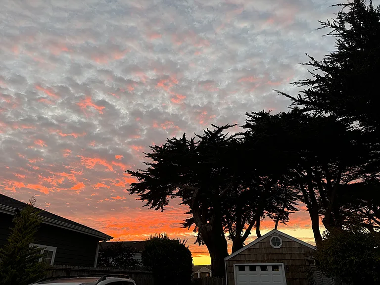 Enjoy the beauty of trees in our safe and quiet neighborhood_or go out to Bandon Dunes for lunch and hikes on the trails. Hiking, walking and cycling are also available at many nearby places like Shore Acres and South Slough.
