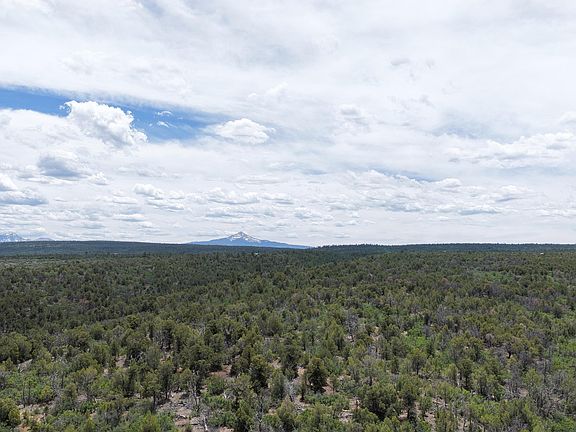 3rd image of Uassigned Juniper Dr #422Y