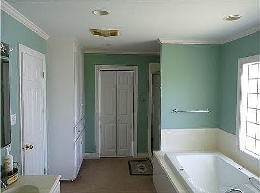 Master bathroom 