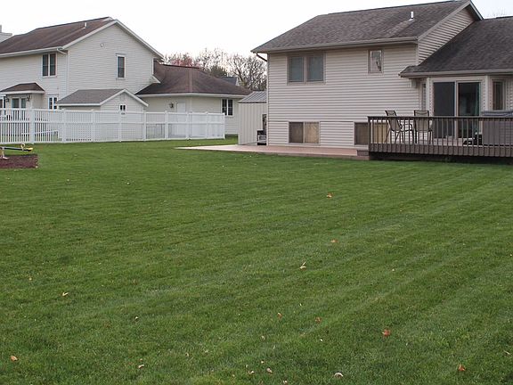 Full View of Backyard